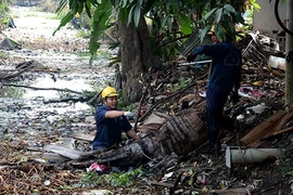 TP.HCM: Tiếp tục đẩy mạnh thực hiện 7 chương trình đột phá