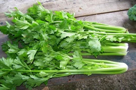 Rau mùi tây, không đơn thuần là gia vị nhà bếp!
