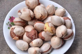 10 lý do thuyết phục bạn nên ăn hạt mít