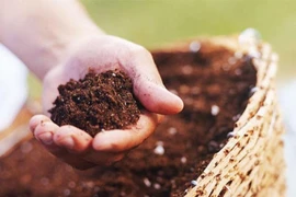 Những công dụng bất ngờ của bã cà phê không phải ai cũng biết