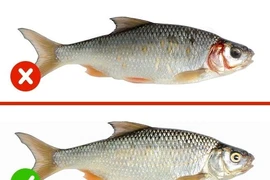 Cách nhận biết thực phẩm an toàn, không bị nhiễm độc