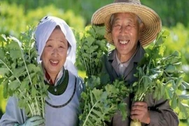 Nguyên tắc ăn uống của người Nhật giúp kéo dài tuổi thọ