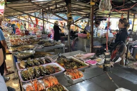 Những loại hản sản độc chết người cần tránh khi đi biển