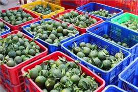 Sử dụng cam đúng thời điểm để mang lại hiệu quả
