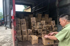 8.000 que kem Trung Quốc bị bắt giữ tại Lào Cai