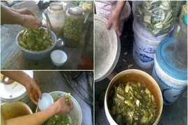 Hiểm họa ngộ độc chì trong thực phẩm