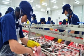 Cá tra Việt Nam được Mỹ giảm thuế chống phá giá