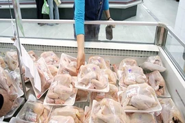 Gà nhập khẩu vào Việt Nam có đảm bảo an toàn?