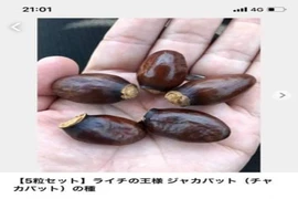 Chợ online quốc tế rao bán hạt vải thiều giá khủng