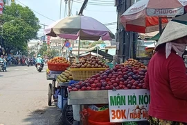 Mận, đào Trung Quốc núp bóng hàng Việt đổ về TP.HCM