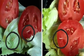 Thực phẩm có giòi, nguy hại ra sao?