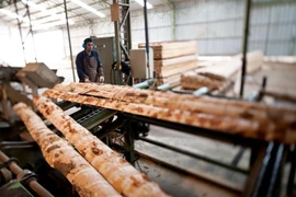 Doanh nghiệp gỗ muốn mở lối đi mới để hồi phục sản xuất