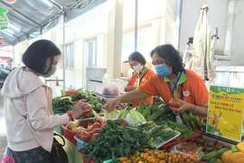 TP.HCM tăng liên kết với miền Tây để phục hồi kinh tế 