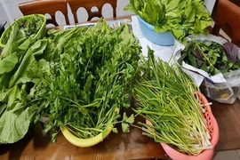 Ngày Tết ăn sơn hào hải vị nhưng để bảo vệ sức khỏe đừng quên món ăn này
