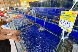 Cua ghẹ khan hàng, giá tăng cao chóng mặt