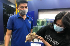 Sát lễ, cua ghẹ tại TP.HCM khan hàng, giá cao kỷ lục