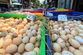 Cảnh giác với chiêu trò giải cứu trứng gà