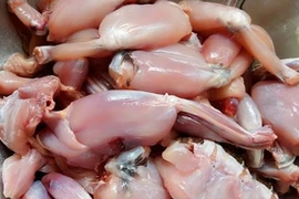 Bộ phận nào của con cóc chứa độc tố gây chết người?