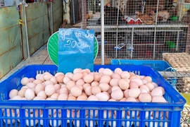Giải mã lý do trứng gà so chỉ 20.000 đồng/chục rẻ hơn cả trứng gà công nghiệp