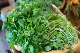 Loại rau được nước Mỹ chấm 10 điểm về giàu dinh dưỡng