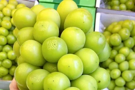 Nho mẫu đơn Trung Quốc ồ ạt về chợ