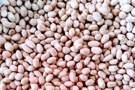Ăn 7 hạt đậu phộng mỗi ngày, chuyện gì xảy ra?