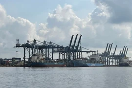 Doanh nghiệp tìm mọi cách vượt 'bão giá' vận tải đường biển
