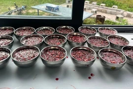 Ăn tiết canh hấp có an toàn hơn ăn sống?