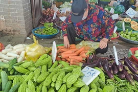 Bà nội trợ méo mặt vì thịt, cá, dầu ăn... rủ nhau tăng giá