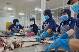 Trung Quốc chi hàng chục triệu USD mua bong bóng cá tra khô của Việt Nam