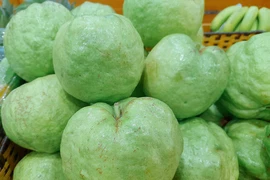 Ổi giàu vitamin C nhưng ai nên hạn chế ăn?