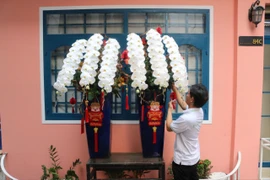 Lan hồ điệp nữ hoàng đắt khách mùa Tết, đơn hàng khủng 60 triệu đồng
