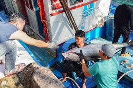 Lý do xuất khẩu cá ngừ tăng tốc tại Mỹ 