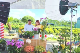 Nhà vườn bắt đầu livestream bán hoa cúc, tắc mini... mùa Tết