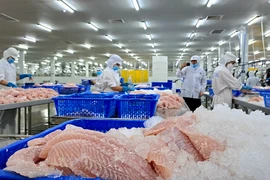 Bán thủy sản sang EU: Cẩn trọng bị trả hàng vì bao bì
