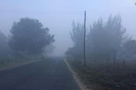 Cháy bãi rác khổng lồ, cả ngàn người khó thở 