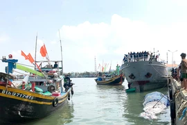  3 tàu cá đưa thi thể cá Ông dài 15 m vào đất liền