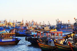 Tàu cá chỉ được vào 4 cảng ở Bình Thuận có chốt kiểm soát COVID-19