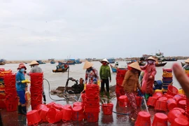 Đóng cửa Cảng cá La Gi từ 0 giờ ngày 24-7 
