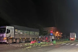 3 xe tải tông liên hoàn trên Quốc lộ 1A, hai vợ chồng thương vong