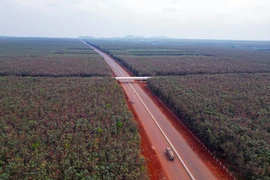 Chào năm mới 2023 trên công trường cao tốc Phan Thiết-Dầu Giây