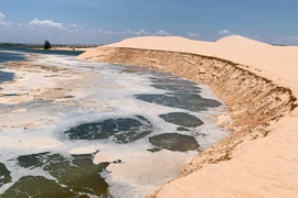 Yêu cầu sớm tìm ra nguyên nhân, khắc phục Đồi Trinh Nữ bị sạt lở