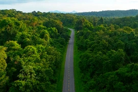 Không đồng ý chuyển 1.429 ha đất lâm nghiệp ra khỏi quy hoạch 3 loại rừng