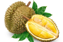 Nhiều lô hàng trái cây tươi Việt Nam bị Trung Quốc trả lại vì đóng gói không đúng mẫu mã