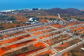 Phong tỏa tài sản Tổng giám đốc Công ty Cổ phần Tân Việt Phát