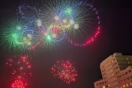 Phó Thủ tướng: Bình Thuận phải thành trung tâm năng lượng, trung tâm du lịch biển