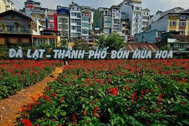 Đánh giá tác động khi sáp nhập 3 tỉnh Lâm Đồng, Đắk Nông, Bình Thuận