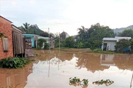 Lâm Đồng: Mưa lớn, 1 người chết do sét, nhiều tuyến đường sạt lở