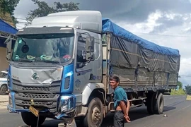 Công an Lâm Đồng tạm giữ hình sự tài xế xe tải lấn làn tông 2 người tử vong