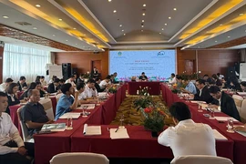 Gần 50 năm chưa có hướng dẫn mới về tình tiết 'có tính chất côn đồ'